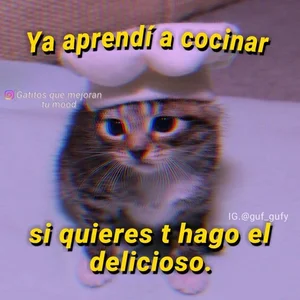 incognimeow MEME MEOW Foto 3