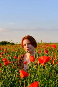 In the poppy field