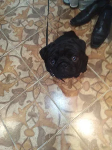 My favorites od melisssska  snímek