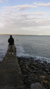 Public de MrJSoFyne  6 Imagens