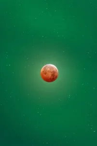 Butterflygi Sky 사진 2