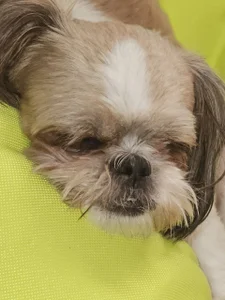 SophiaPottsのPart of meの 5枚の写真