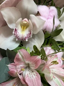 BrightDani Public Pic 6