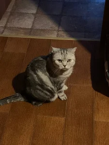 liana_kisses Frosty days😋❄ 사진 3