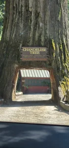 EdneedsreleasePic of having fun Bild 3