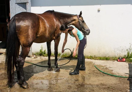 LeonaLane 🐎🐎🐎 Pic 2