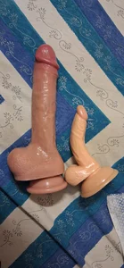 my new partner de Sissydoggy  photos