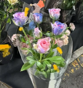 Hug-kiss 1 XXX meztelen fényképe