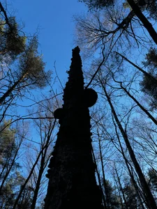 AlexFH life is beautiful slika 4