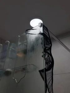 Loveequinn Public Pic 6