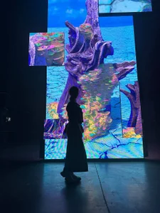 MiaVersePublic图片