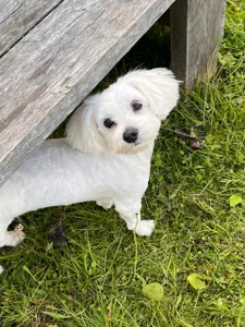 Touch_And_Run's photo