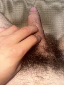 rexrocket33 Public Fotka 3