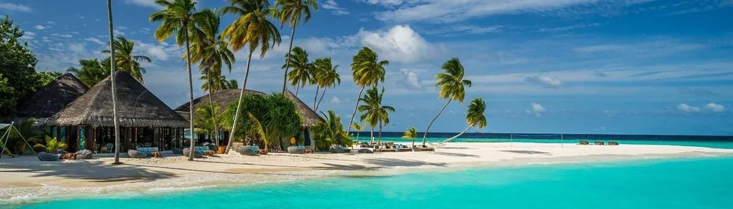 AmiLavs my dream Gambar 2