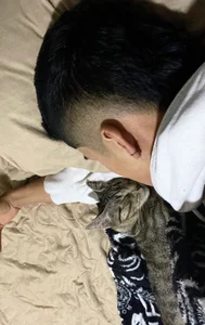 tom_Howard 🐱 사진 3