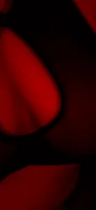 KingaCookiesPublic图片