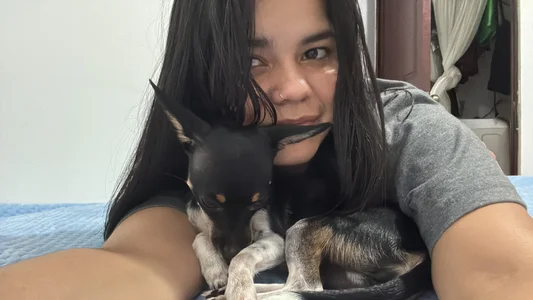 2Angela_ Pet Atlas 🐶 slika