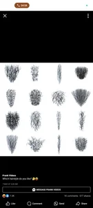 Zdjęcia coocon2020 Ff:  2