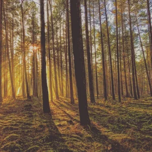 Haariglang kullanıcısının Meine Freizeit nur landschaftlich albümü -  3 fotoğraf