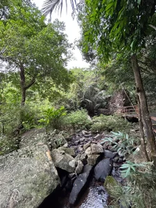 MistyBarnes China nature Pic 4