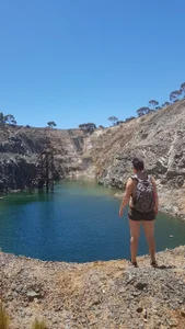 PinkTheHawkPublic图片 4