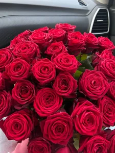 AliceAtkins 🩷🩷🩷 Hình 4