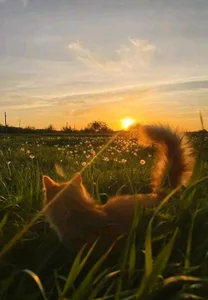 now autumn de DorothyJones Foto