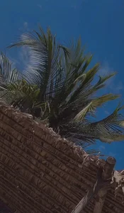 Valen_ross_のPlaya brisa y mar 🌊の 2枚の写真