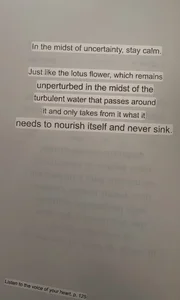 nelumbonucifera 📖 Immagine 