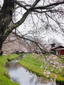 HinaLovely My life 사진 3