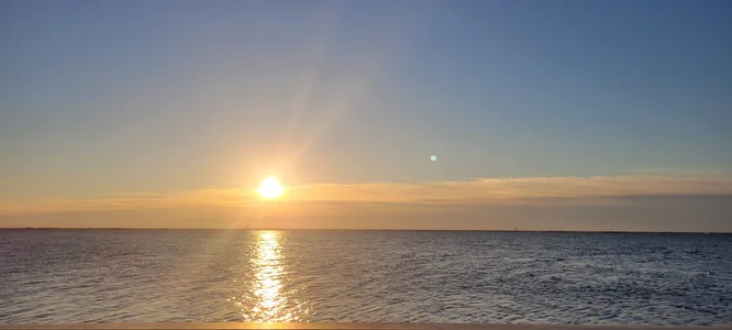 Scorpion_xx Public зображення 8