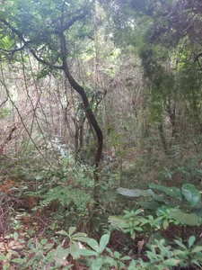 NayadeWelcome图片 5