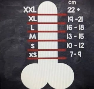 polloiw Public Foto 4