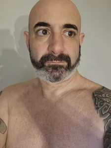 Public de palidin1 Foto 4