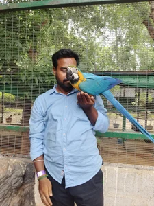 Tamil_boygirl_pussy_riderPublic图片 2