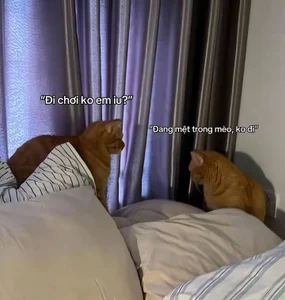 Yuyu-baobei Public 圖片 4