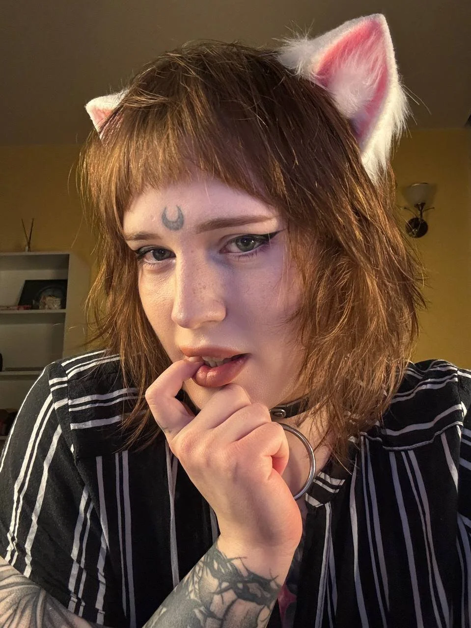 Alice_moonshardさんのトレンドな 4484枚の写真