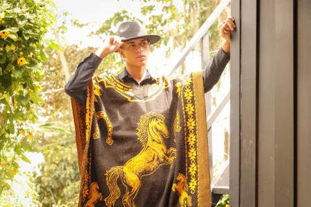 Tyler_RodriguezFolklore Style Bild 6