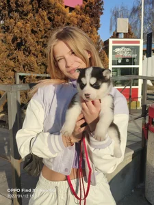 AnastasiaAniess ❤️welcome to the dysfunctional family LEYLA ❤️ Foto