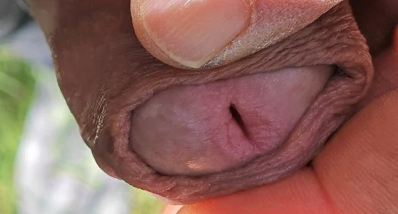 jhonschen's Tra la natura Sex Photo 8