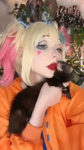 cutelittlepuffのHarley Quinnnの 2枚の写真