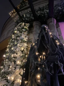 DanaDrake ♠️🌹 Pic 3