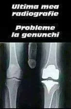 vulpe8400 Sexy Poză