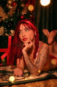 salem_roseLet's celebrate Christmas Bild 3