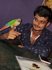 My pics