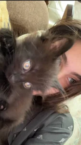 Public de Vanellopa_sugarush  5 Imagens