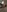 Love_Bri's photo