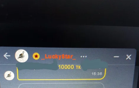 nicky_owl MY TOP TIPS Pic