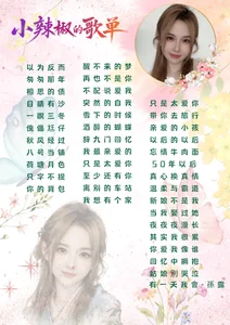 歌单 de Sweet-SmallChili Foto 5