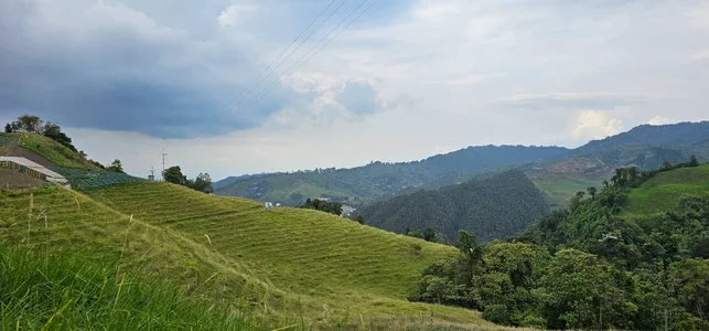 Kore_Persephone Love for nature and every inch it inhabits 🌿🍀😍 사진 4